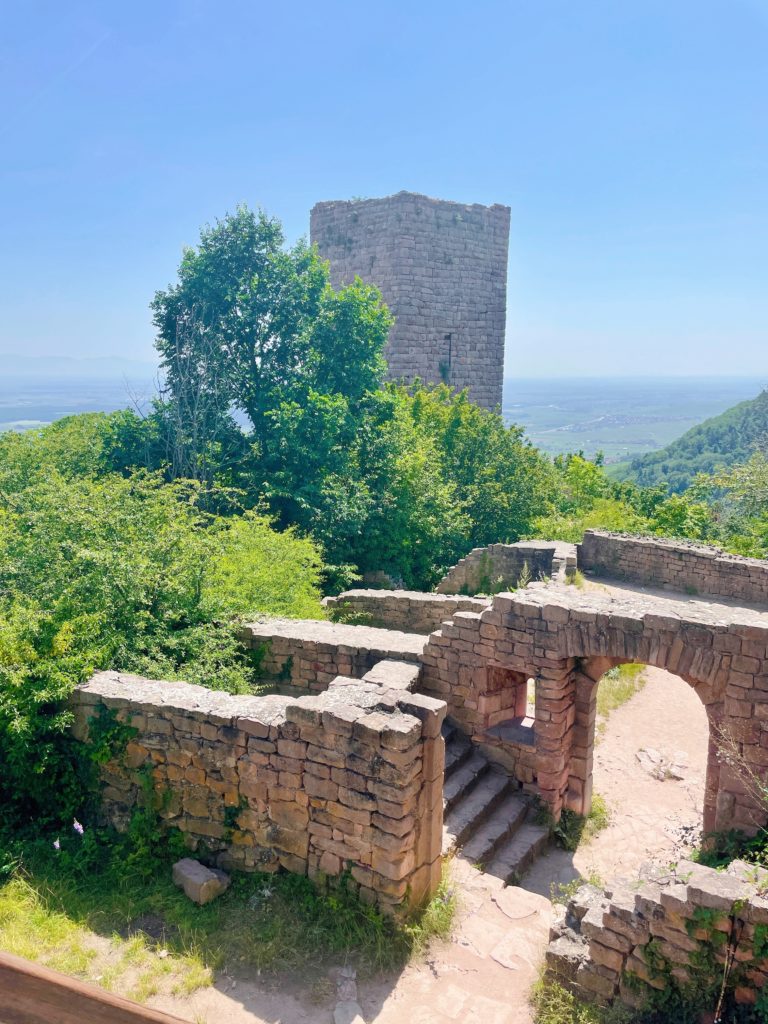 road trip en Alsace: les 3 châteaux